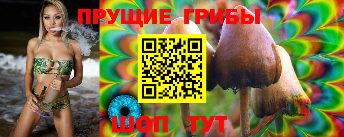 Псилоцибиновые грибы прущие грибы Кизляр